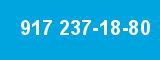917 237-18-80